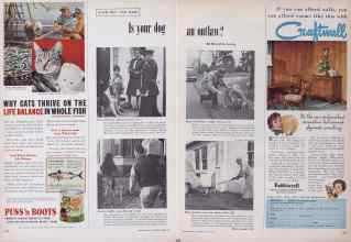 Better Homes & Gardens April 1954 Magazine Article: Is your dog an outlaw?