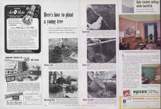 Better Homes & Gardens April 1954 Magazine Article: Page 222