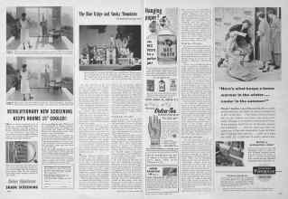 Better Homes & Gardens April 1954 Magazine Article: Page 246