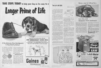Better Homes & Gardens April 1954 Magazine Article: Page 258