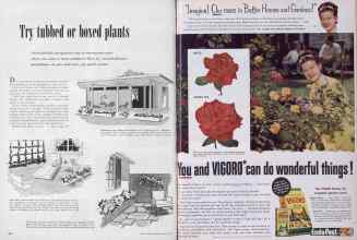 Better Homes & Gardens April 1954 Magazine Article: Page 294