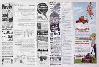 Better Homes & Gardens April 1954 Magazine Article: Page 302