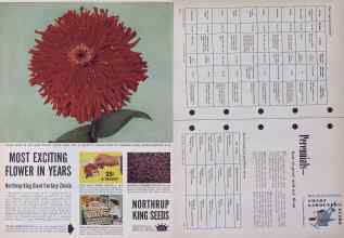 Better Homes & Gardens April 1954 Magazine Article: Page 308