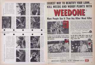 Better Homes & Gardens April 1954 Magazine Article: Page 310