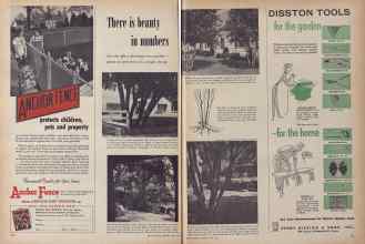 Better Homes & Gardens April 1954 Magazine Article: Page 312