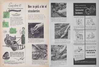 Better Homes & Gardens April 1954 Magazine Article: Page 320