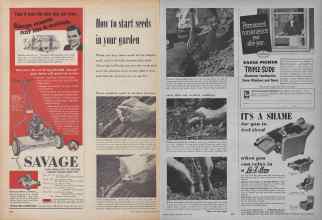 Better Homes & Gardens April 1954 Magazine Article: How to start seeds in your garden