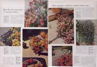 Better Homes & Gardens May 1954 Magazine Article: Page 86