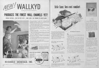 Better Homes & Gardens May 1954 Magazine Article: Page 224