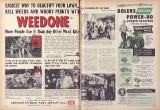 Better Homes & Gardens May 1954 Magazine Article: Page 294