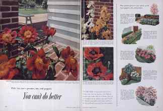 Better Homes & Gardens June 1954 Magazine Article: Page 66