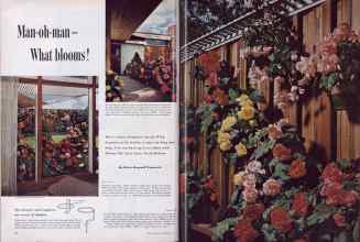 Better Homes & Gardens July 1954 Magazine Article: Page 44