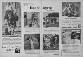 Better Homes & Gardens July 1954 Magazine Article: Keep an eye on your dog