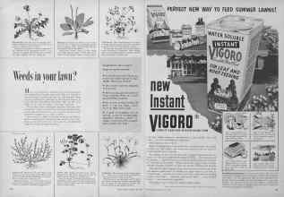 Better Homes & Gardens July 1954 Magazine Article: Page 132