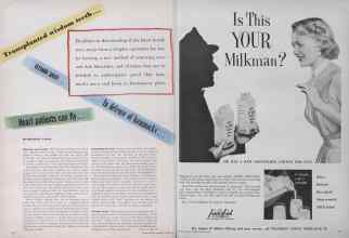 Better Homes & Gardens August 1954 Magazine Article: Page 22