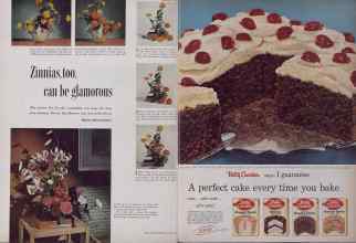 Better Homes & Gardens August 1954 Magazine Article: Page 66