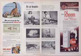 Better Homes & Gardens August 1954 Magazine Article: Page 100