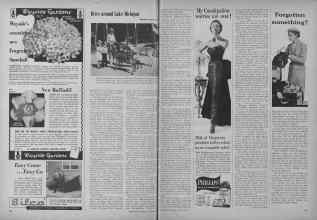 Better Homes & Gardens August 1954 Magazine Article: Page 114