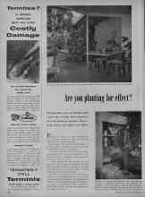 Better Homes & Gardens September 1954 Magazine Article: Are you planting for effect?