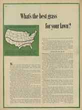 Better Homes & Gardens September 1954 Magazine Article: What's the best grass for your lawn?