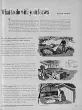 Better Homes & Gardens October 1954 Magazine Article: What to do with your leaves