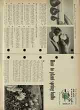 Better Homes & Gardens October 1954 Magazine Article: How to plant spring bulbs