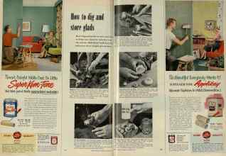 Better Homes & Gardens October 1954 Magazine Article: Page 172
