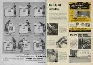 Better Homes & Gardens October 1954 Magazine Article: Page 204
