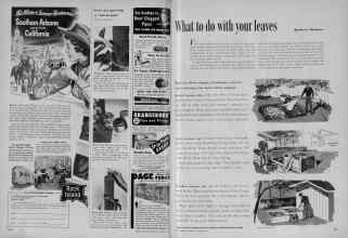 Better Homes & Gardens October 1954 Magazine Article: Page 240