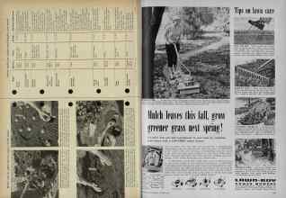 Better Homes & Gardens October 1954 Magazine Article: Page 246