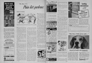 Better Homes & Gardens October 1954 Magazine Article: The diary of a Plain dirt gardener