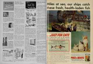 Better Homes & Gardens October 1954 Magazine Article: Page 254