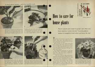 Better Homes & Gardens November 1954 Magazine Article: How to care for house plants