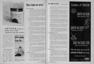 Better Homes & Gardens November 1954 Magazine Article: Page 22
