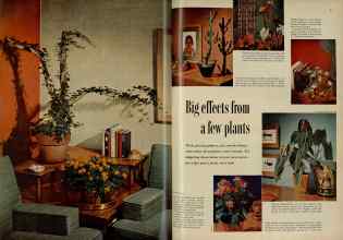 Better Homes & Gardens November 1954 Magazine Article: Big effects from a few plants