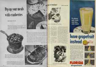 Better Homes & Gardens November 1954 Magazine Article: Page 110