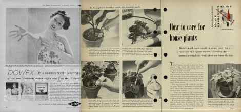 Better Homes & Gardens November 1954 Magazine Article: Page 186