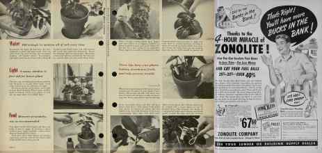 Better Homes & Gardens November 1954 Magazine Article: Page 188