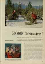 Better Homes & Gardens December 1954 Magazine Article: 5,000,000 Christmas trees!