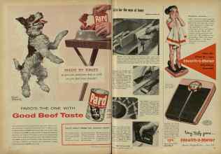 Better Homes & Gardens December 1954 Magazine Article: Page 14