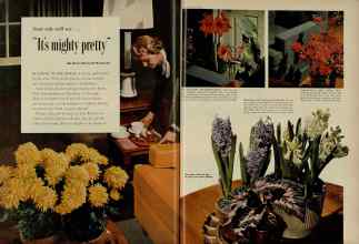 Better Homes & Gardens December 1954 Magazine Article: 