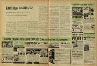 Better Homes & Gardens December 1954 Magazine Article: What's ahead in GARDENING?