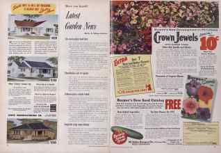 Better Homes & Gardens January 1955 Magazine Article: Page 22