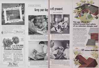 Better Homes & Gardens January 1955 Magazine Article: Keep your dog well groomed