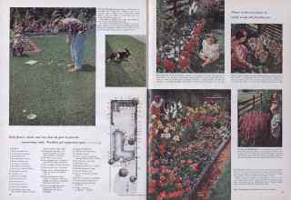 Better Homes & Gardens January 1955 Magazine Article: Page 40