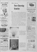 Better Homes & Gardens February 1955 Magazine Article: Here's how to Forte flowering branches