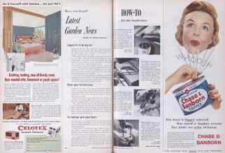 Better Homes & Gardens February 1955 Magazine Article: Page 38