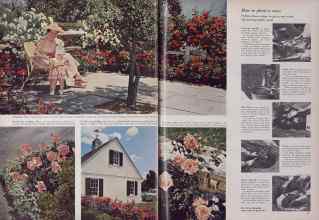 Better Homes & Gardens February 1955 Magazine Article: Page 60