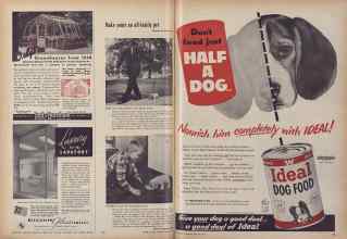 Better Homes & Gardens February 1955 Magazine Article: Page 194