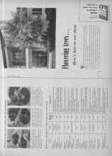 Better Homes & Gardens March 1955 Magazine Article: Flowering trees...